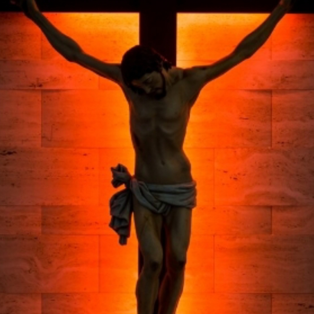 Meet your Posher, Priscilla